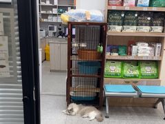 -四月宠物医院·猫专科·心脏专科·内科(转塘店)