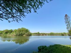 -艾溪湖湿地公园