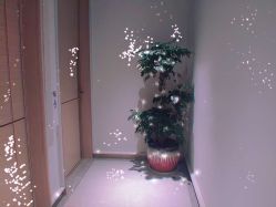 -苑苑vbeauty科技美容SPA