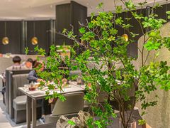 -新兴·金羊座·粤菜点心(乐峰店)