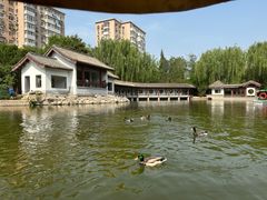 -团结湖公园