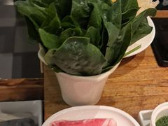 -额尔敦传统涮(西坝河店)
