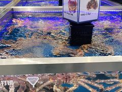 -盒马X会员店(上海森兰商都店)