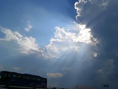 -合肥滨湖国家森林公园