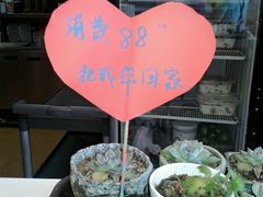 -金乐活美食(中街店)