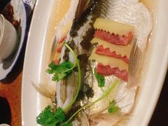 -宁波柏悦酒店·钱湖渔港