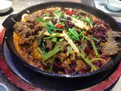 -老板恋上鱼(恒隆广场店)