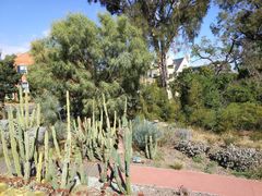 -墨尔本皇家植物园