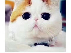 -陕九门老碗面(人民路店)