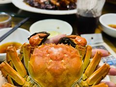 -蟹村草堂·苏式园林人文农家·大闸蟹