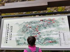 -秦岭天竺山生态文化旅游景区