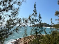 -广东惠东海龟国家级自然保护区