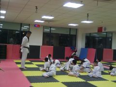 -金翼跆拳道巴西柔术拳击格斗学院