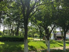 -南宁花花大世界景区