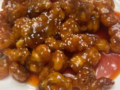 -杨记海鲜楼(三门黑金冠店)