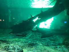 -华夏文旅西安度假区