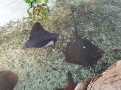 -珠海长隆海洋王国