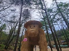 -洛阳白云山景区