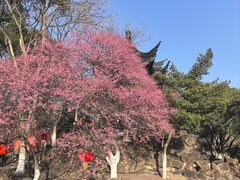 -丝绸小镇荻港古村