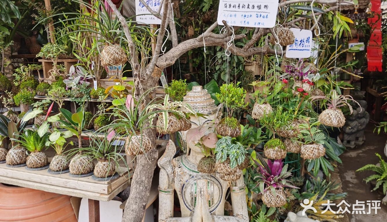 成都万福花卉市场