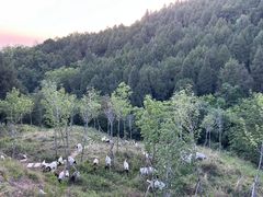 -涂山风景区