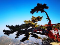 -天津盘山风景名胜区