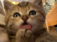 -映画咖啡