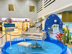 -福州长乐国际机场