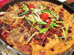 -老板恋上鱼(高新万达店)