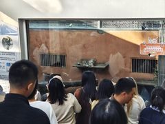 -青藏高原野生动物园