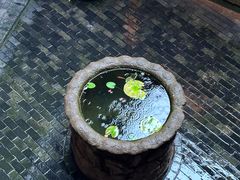 -31号公馆(黄兴广场白果园店)