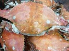 -芦潮港集贸市场