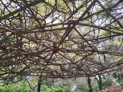 -泰山风景名胜区-普照寺