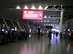-合肥新桥国际机场-航站楼