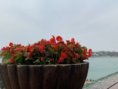 -鹭江宾馆·观海餐厅