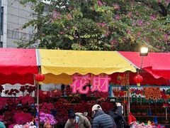 -天河体育中心