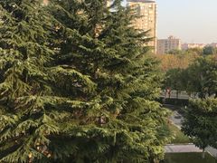 -上海市浦东外事服务学校