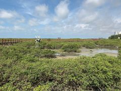 -北海金海湾红树林生态旅游区
