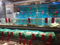 -海大大蒸汽海鲜餐厅·粤菜·特色小炒(欢乐颂店)