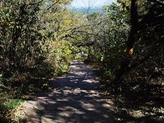 -北京西山国家森林公园