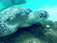 -常州海昌海洋探索馆
