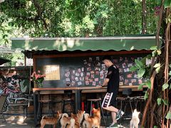 -柴犬高等学院·狗咖·柴犬售卖·宠物训练