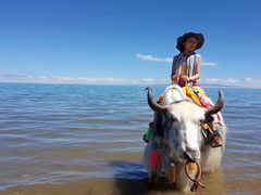 -青海湖国家重点风景名胜区