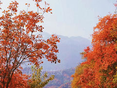 -终南山国家森林公园
