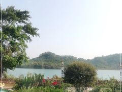 -立新湖公园