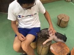 -藦茜花园宠物主题亲子互动体验馆(国顺东路店)