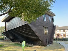 -金山农民画村-枫泾波兰倒置屋