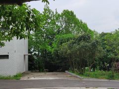 -岣嵝峰国家森林公园