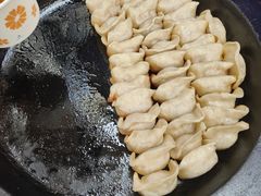 网红锅贴-锅贴大王南翔小笼(临沂二村店)