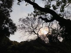 山中美景-清溪森林公园